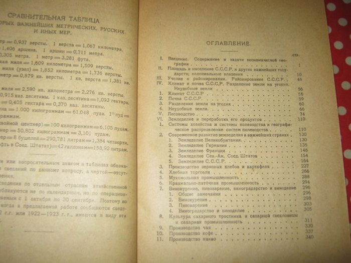 Ден В.Э., Профессор. Курс экономической географии.