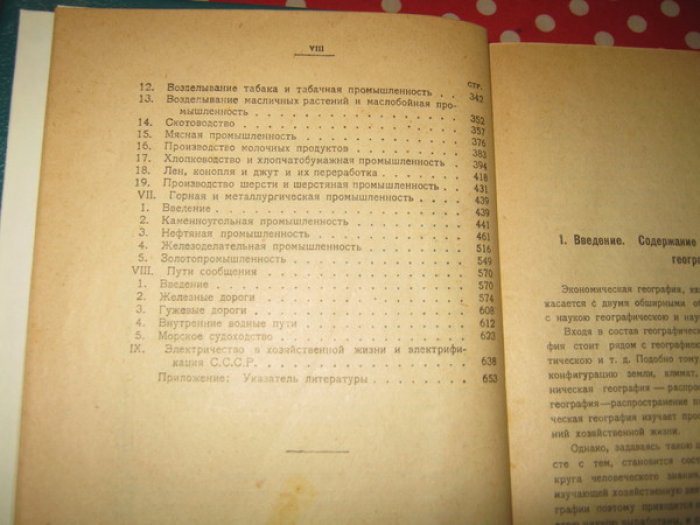 Ден В.Э., Профессор. Курс экономической географии.