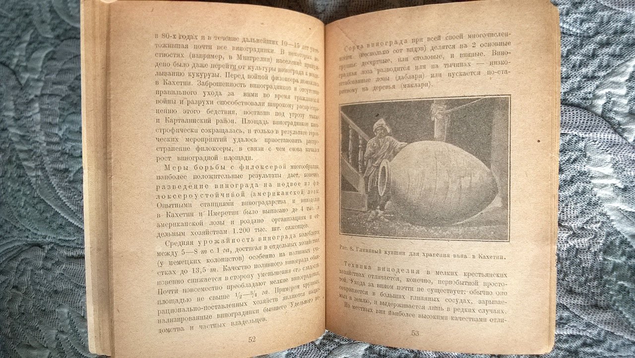 Бялецкий, Кривцов, Кульман, Потемкин, Хибарин, Яковлев. Грузия.