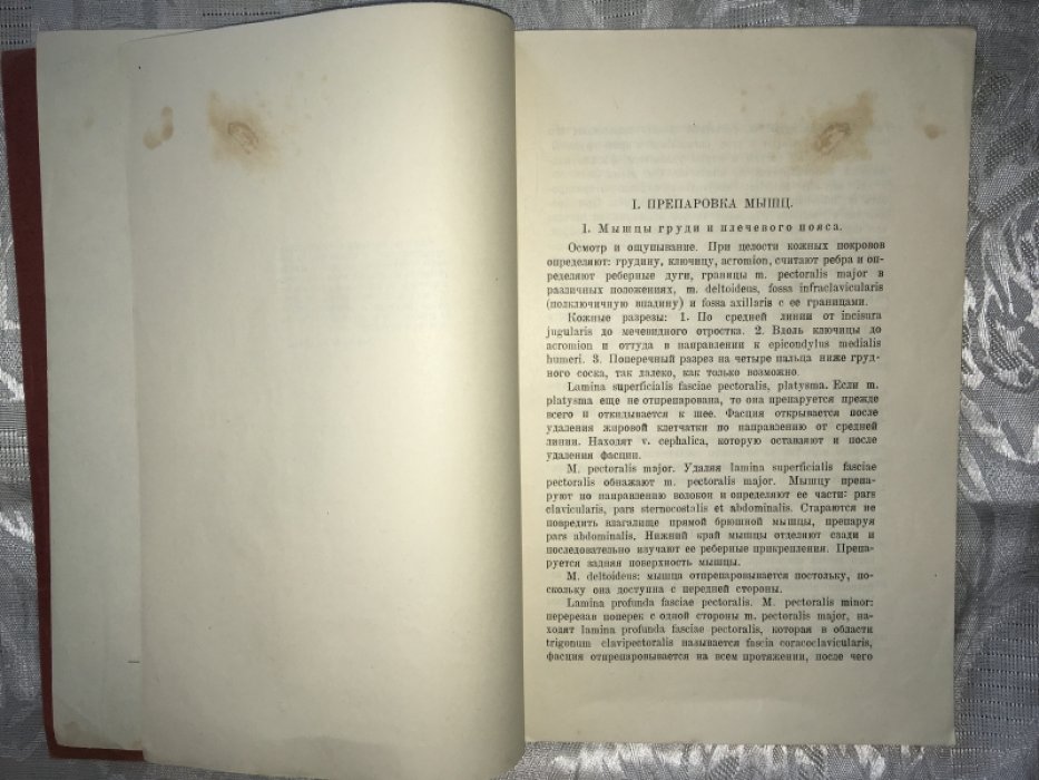 Терновский В.Н. Пособие к практическим занятиям по нормальной анатомии человека. Мыщцы, Связки и Внутренности.