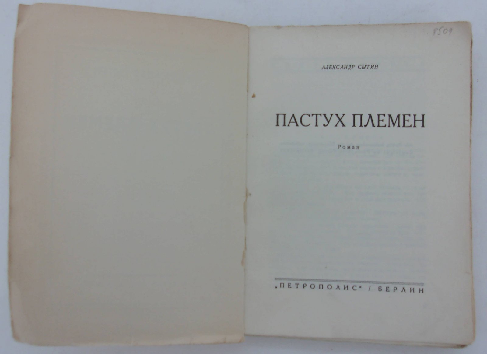 Сытин Александр. Пастух племен.