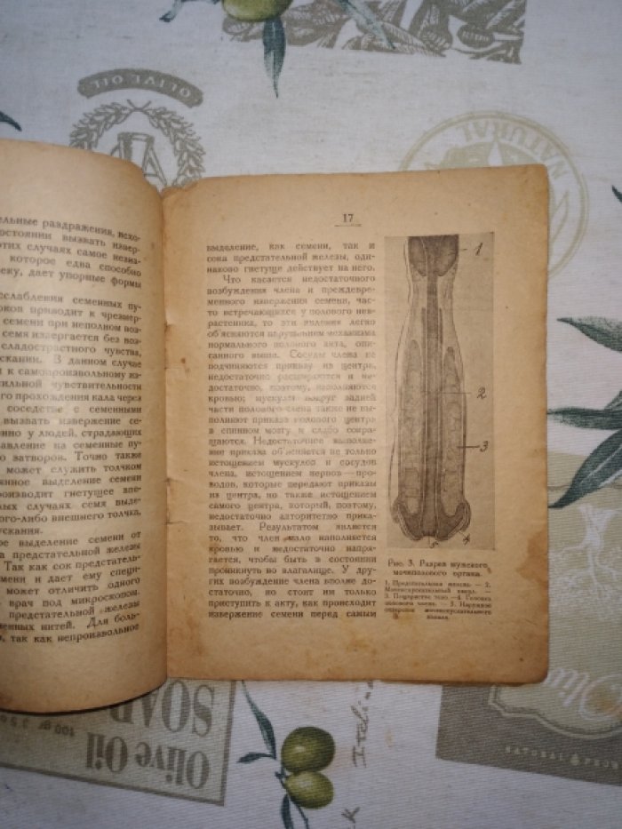 Файнгольд Л.И. Половое бессилие. Его причины, предупреждение и лечение. С рисунками
