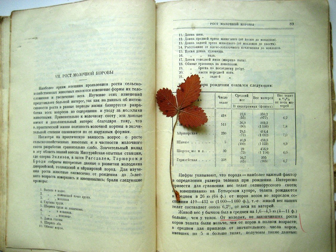 Попов И. Новое в молочном скотоводстве.