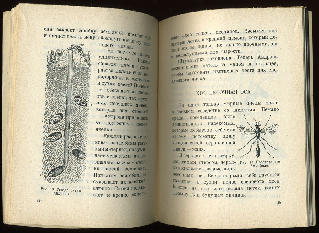Покровский С.В. Носящие жало.