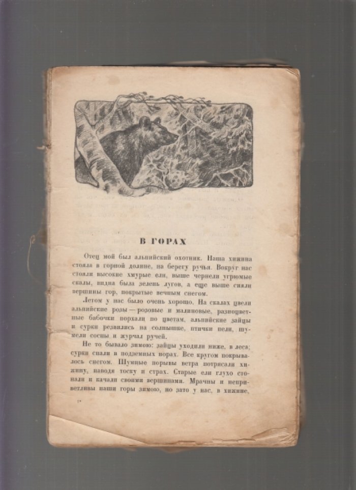 Приключения в горах и на равнинах.