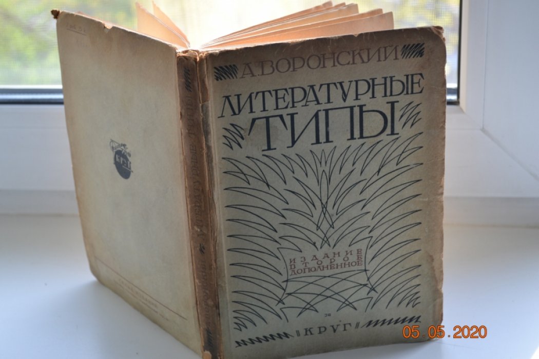 Воронский А. Литературные типы.