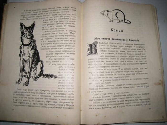 Дуров В. Мои звери.
