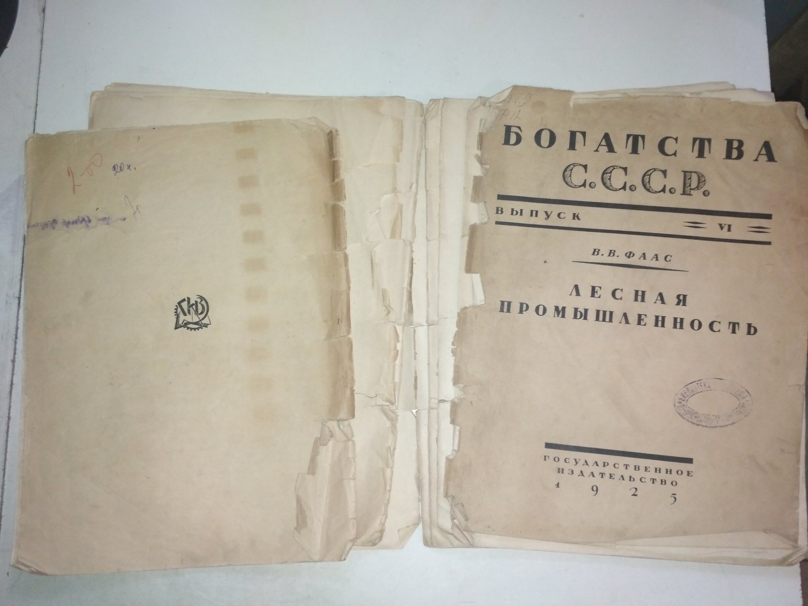 Фаас В.В. Лесная промышленность. Выпуск 6. `Богатство СССР`