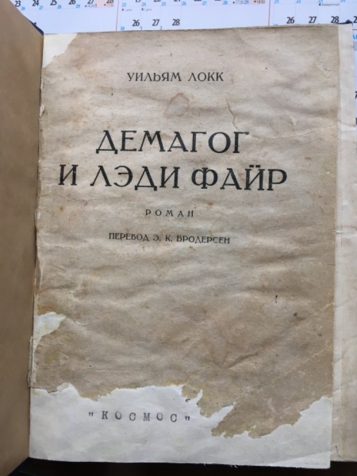 Локк У. Демагог и лэди Файр.