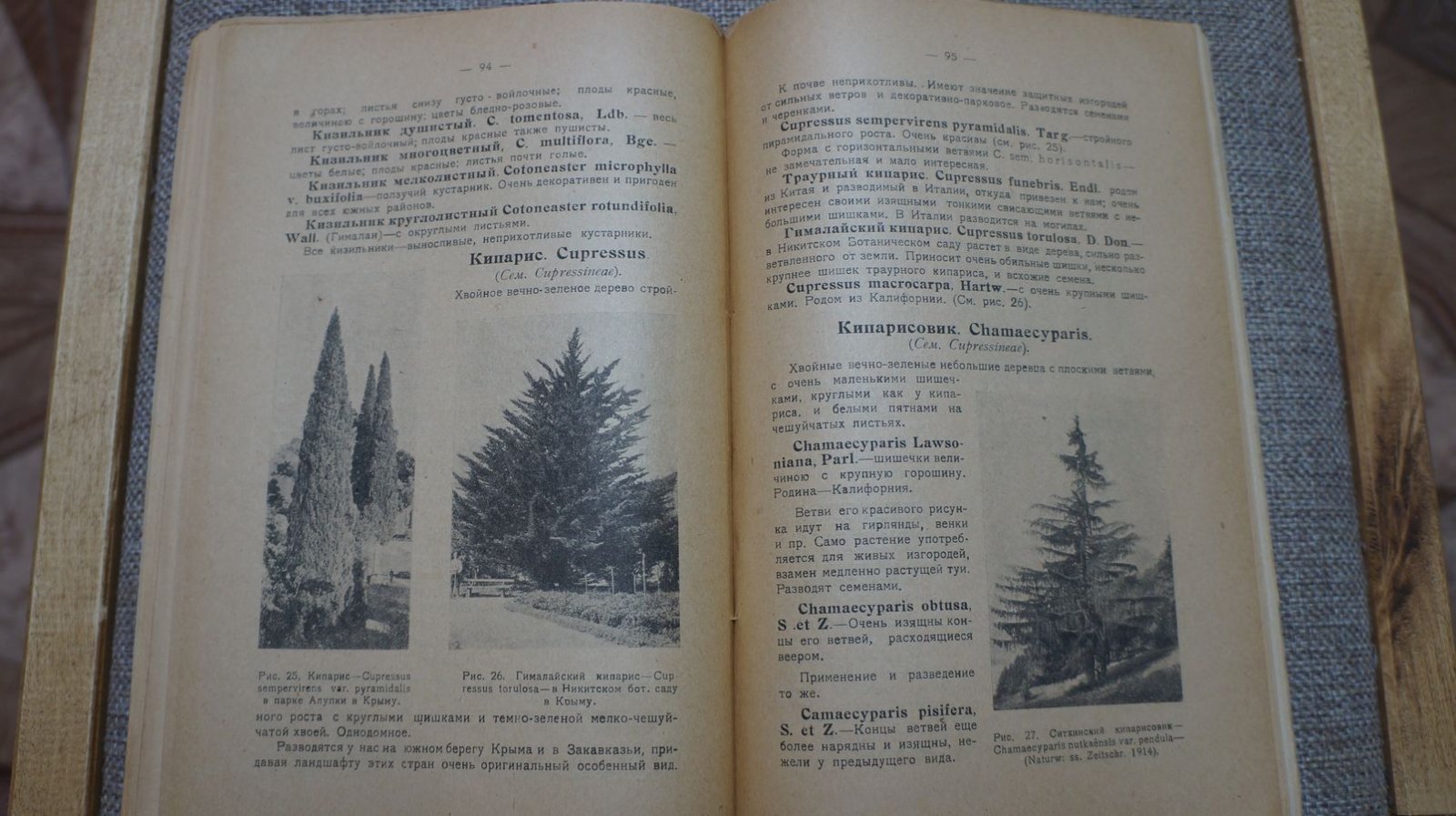 Углицких А. Н. Лесные и декоративные деревья и кустарники. С 36 рисунками
