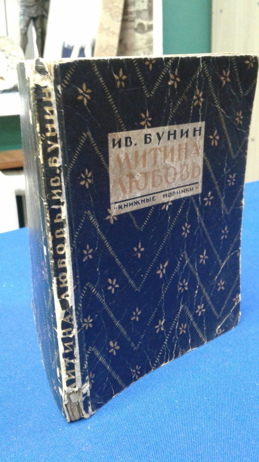Бунин И.А. Митина любовь.