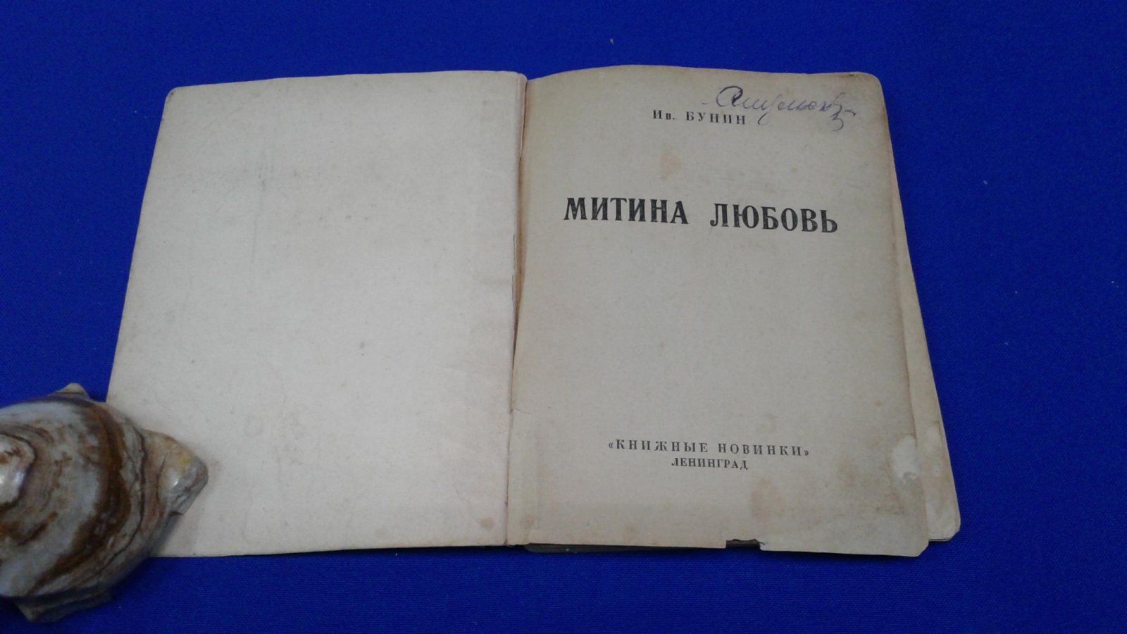 Бунин И.А. Митина любовь.
