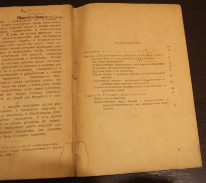 Эфрусси П.О. Профилактика хулиганства и школа.