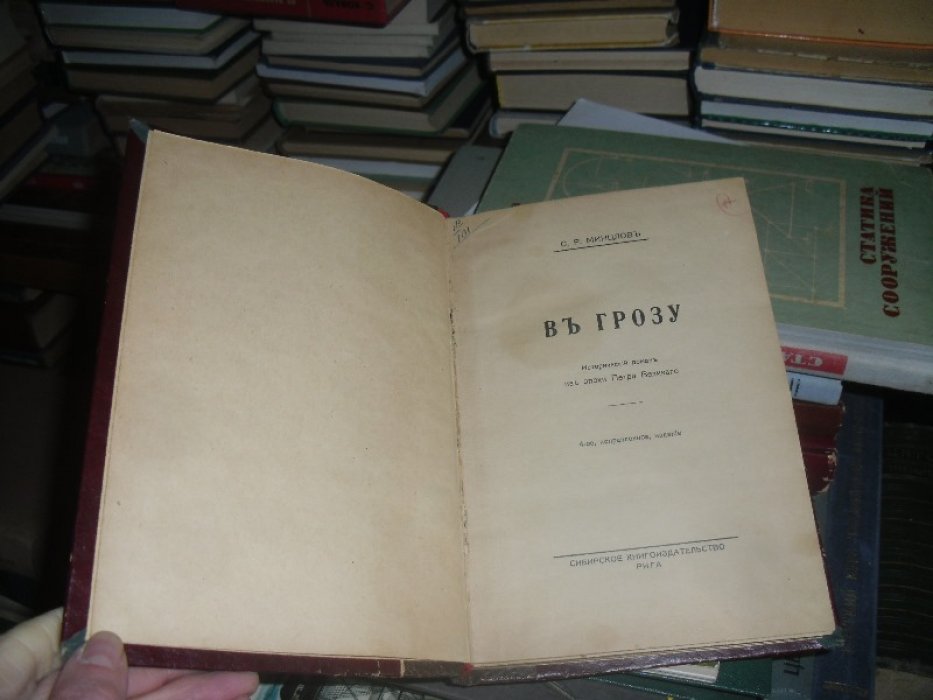 Минцлов С. Р. В. В Грозу.