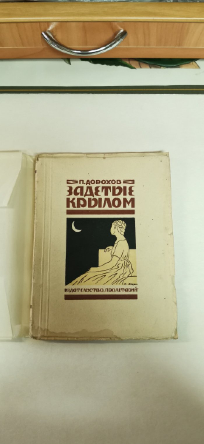Павел Дорохов. Задетые крылом.