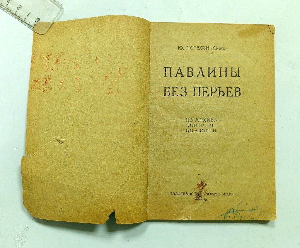 Эрдэ, Д. Меньшевики.