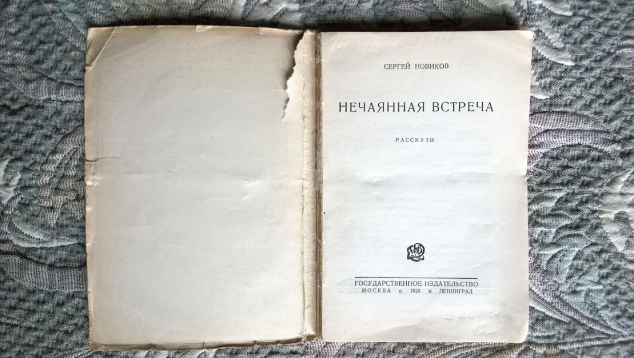 Новиков Сергей. Нечаянная встреча.