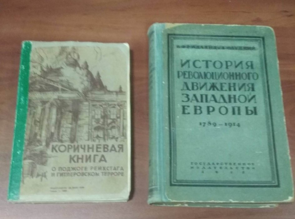 Фридлянд Ц., Слуцкий А. История революционного движения Западной Европы 1789-1914.