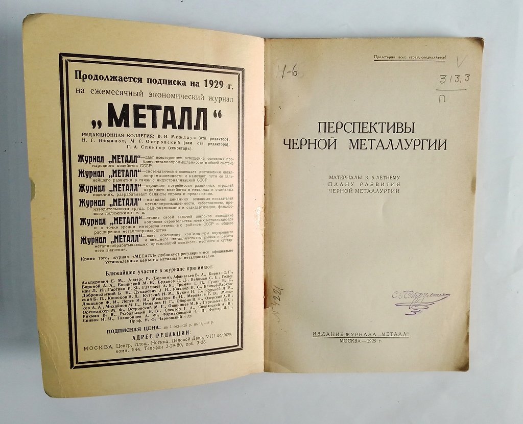 Перспективы черной металлургии.
