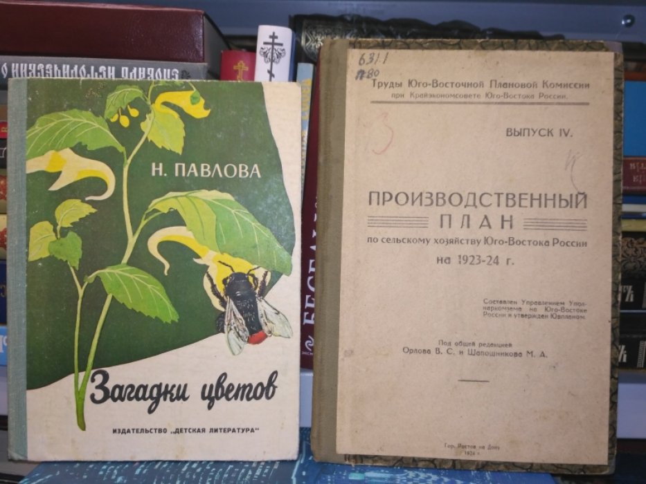 Производственный план по сельскому хозяйству Юго-Востока России на 1923-24 г.