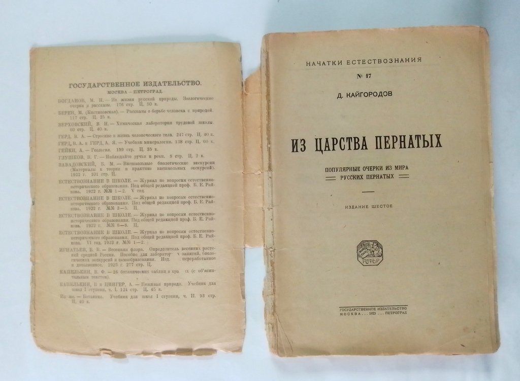 Кайгородов, Дмитрий. Из царства пернатых.
