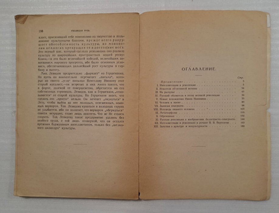 Полонский Вячеслав. Уходящая Русь. Статьи об интеллигенции. 1920-1924.