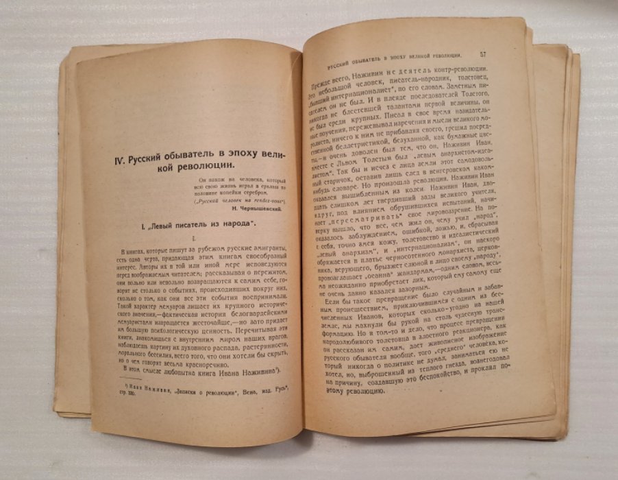 Полонский Вячеслав. Уходящая Русь. Статьи об интеллигенции. 1920-1924.