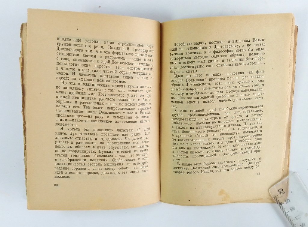 Шагинян, Мариэтта. Литературный дневник.