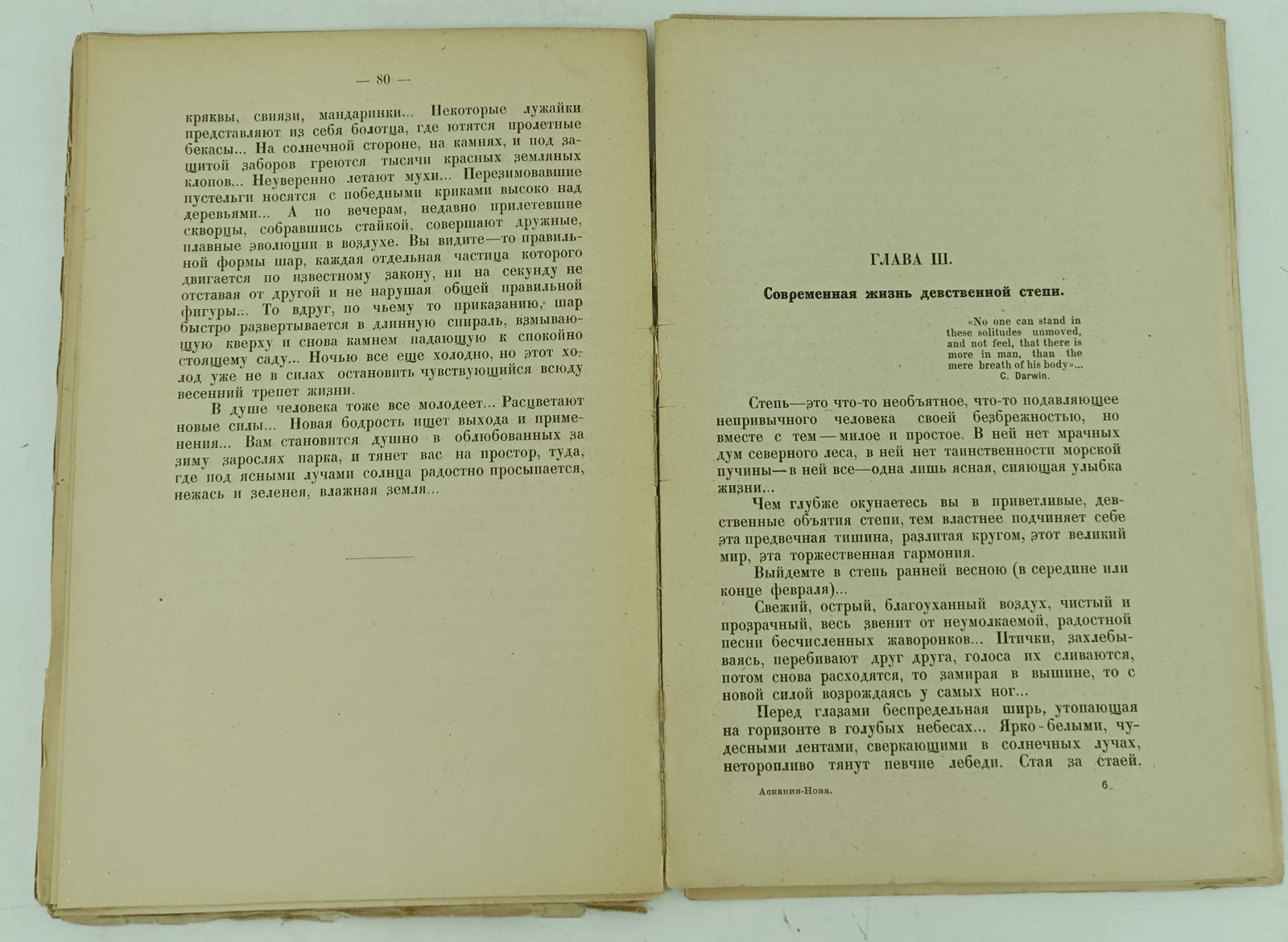 Козлова Е. Аскания - Нова. Зоопарк в южно-русских степях.