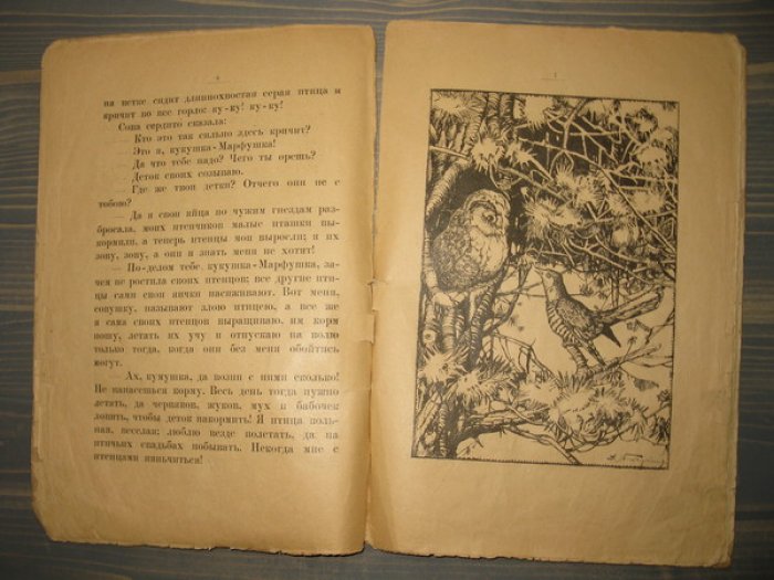 Сент-Илер К. Сказка про сову.