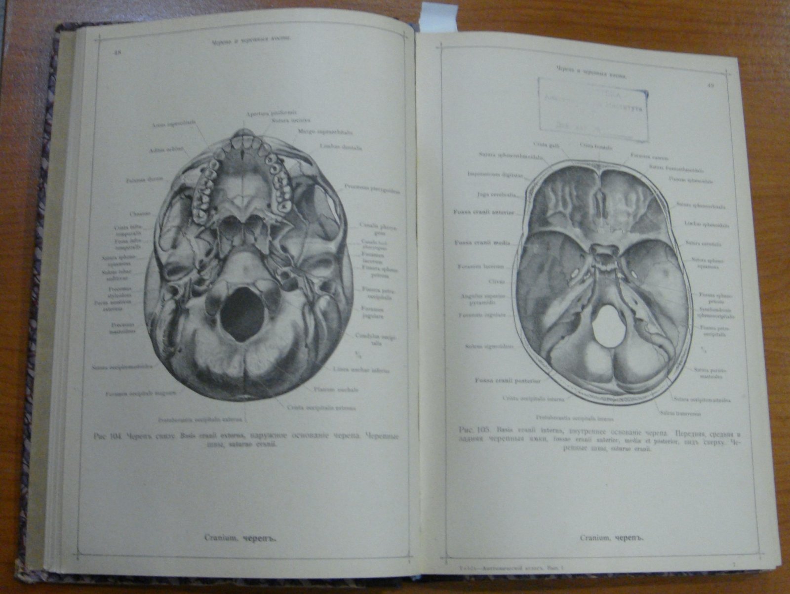 Toldt C. (Толдт Тольдт Карл). Анатомический атлас для студентов и врачей. В 3-х тт.