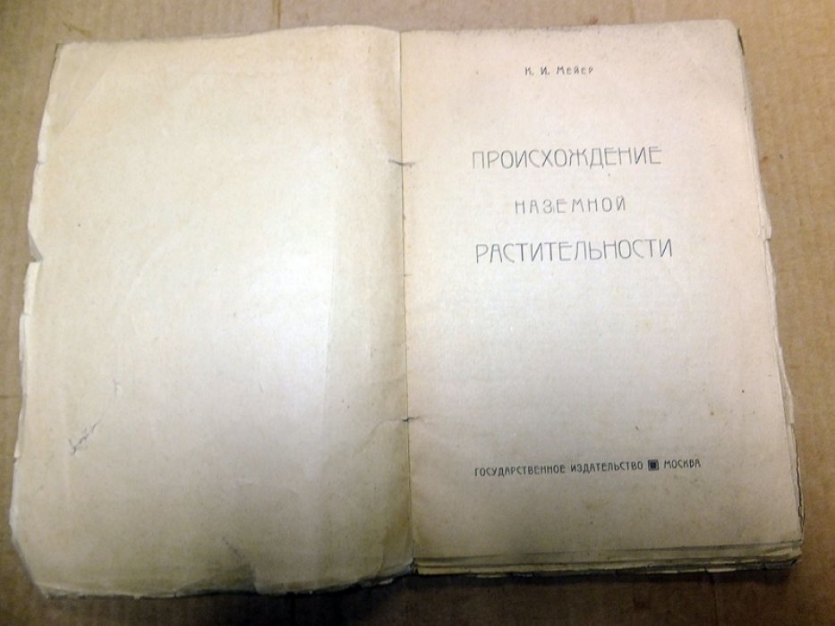 Мейер К.И. Происхождение наземной растительности.