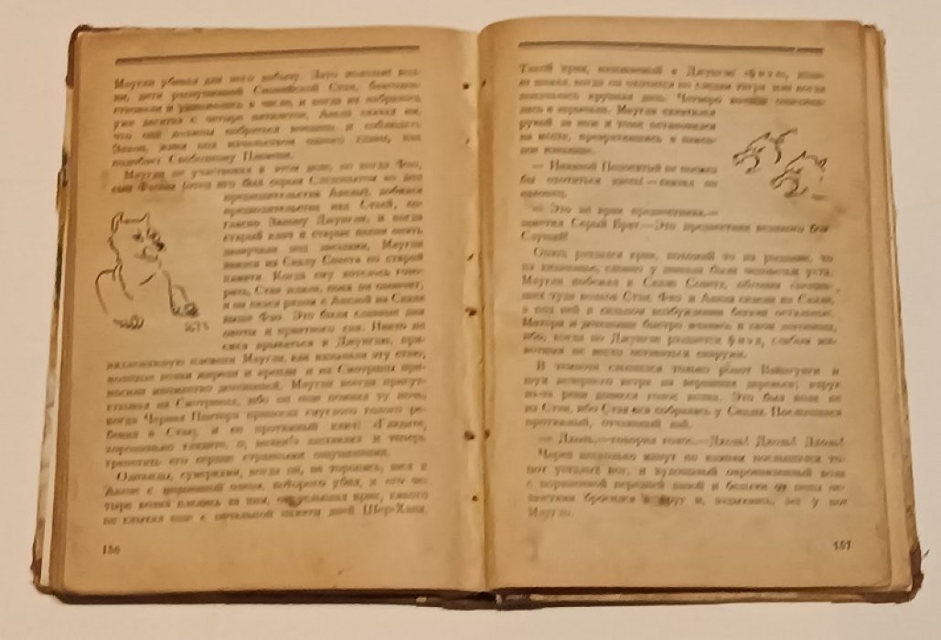 Киплинг Р. Джунгли.