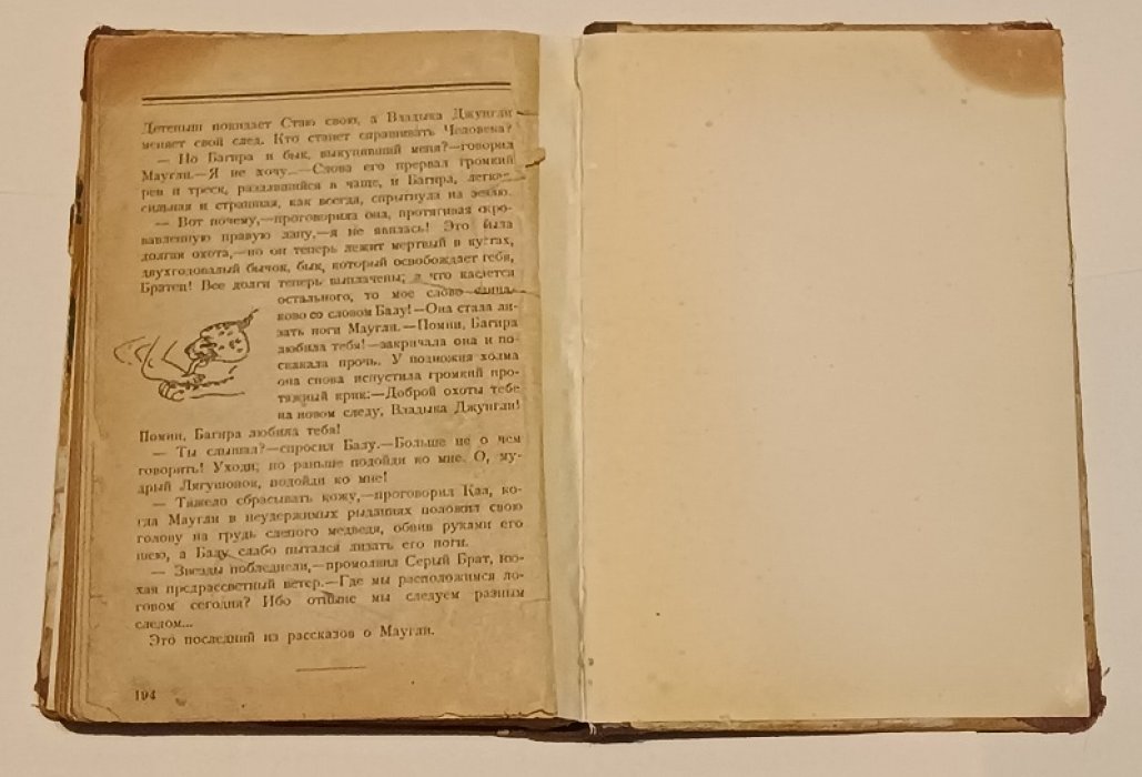 Киплинг Р. Джунгли.