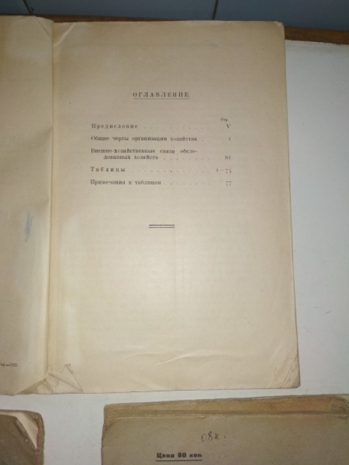 Бюджеты крестьян Харьковской губернии в 1922-23 году. II Купянский округ.