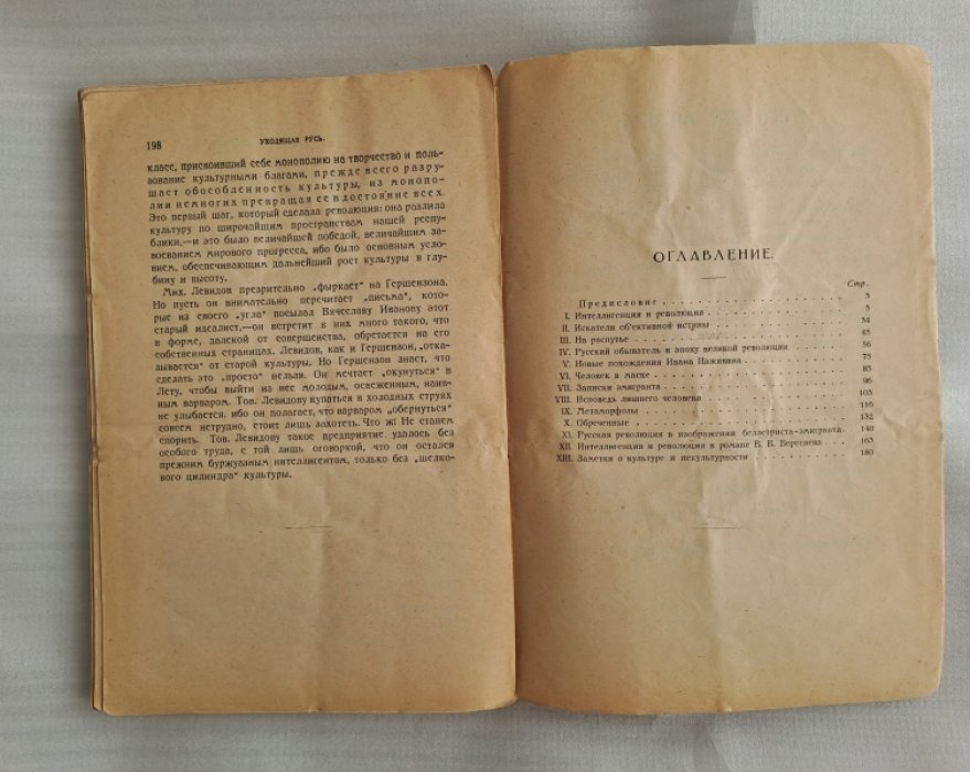 Полонский Вячеслав. Уходящая Русь. Статьи об интеллигенции. 1920-1924.