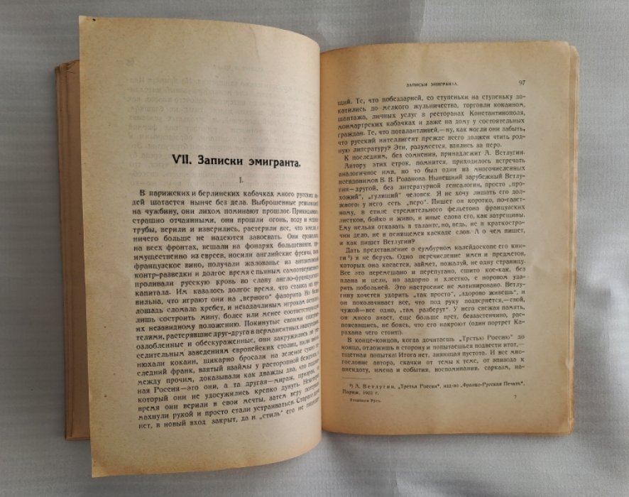 Полонский Вячеслав. Уходящая Русь. Статьи об интеллигенции. 1920-1924.
