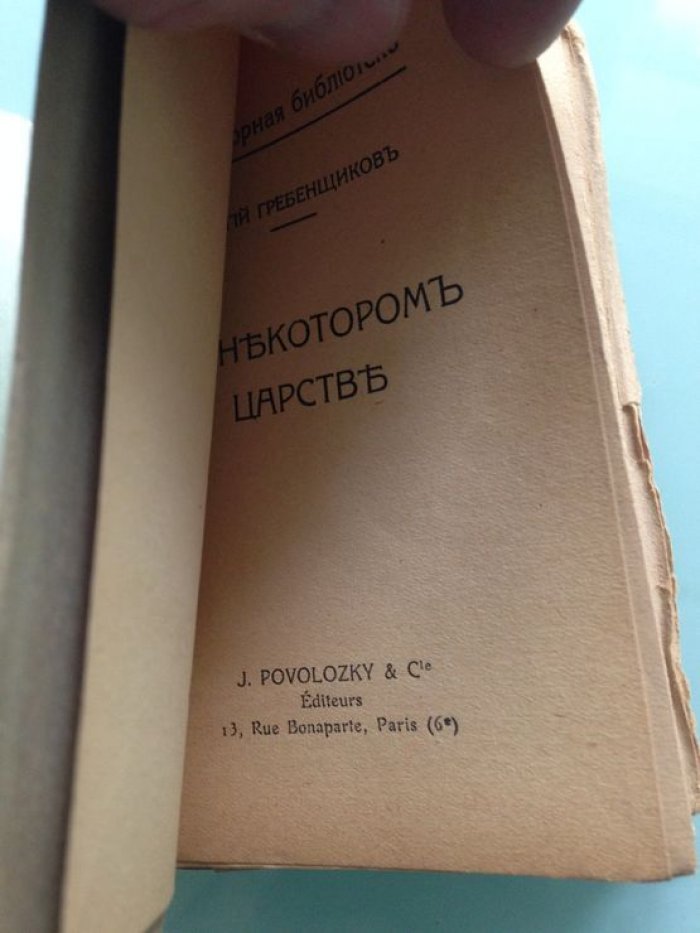 Гребенщиков Г. Д. В некотором царстве.