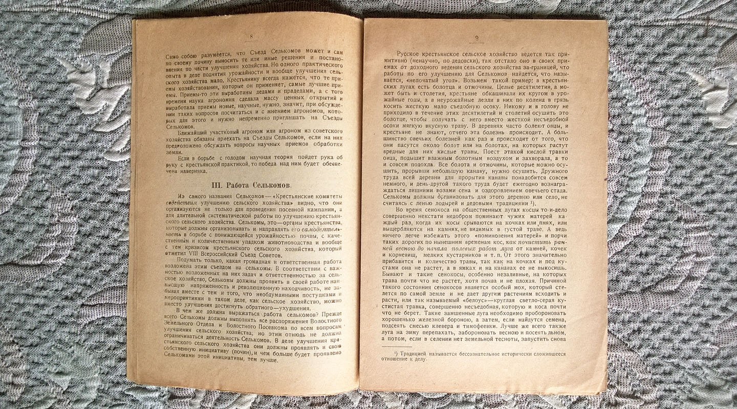 Митрофанов А.Х. Самодеятельность крестьянства в Великую кампанию.