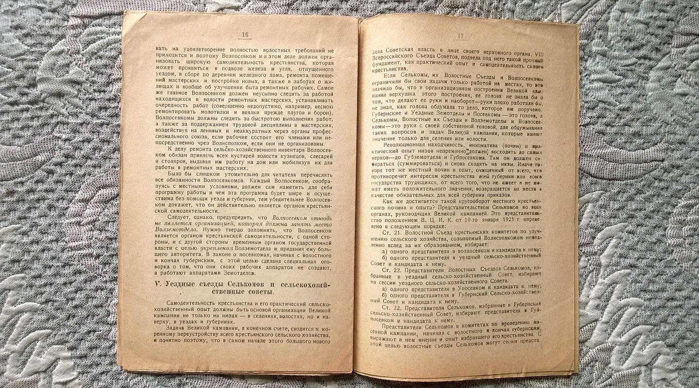 Митрофанов А.Х. Самодеятельность крестьянства в Великую кампанию.