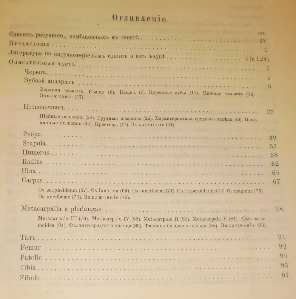 Борисяк А. О роде Indricotherium N.G. (сем. Rhinocerotidae).