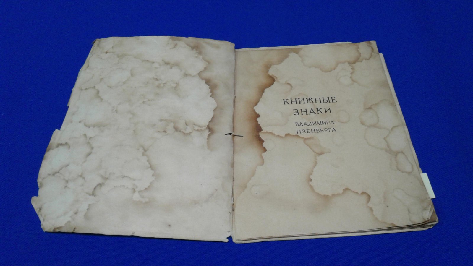Охочинский В. К. Книжные знаки Владимира Изенберга.