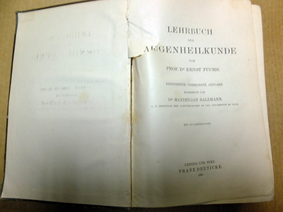 Fuchs E. Lehrbuch der augenheilkunde (Учебник офтальмологии).