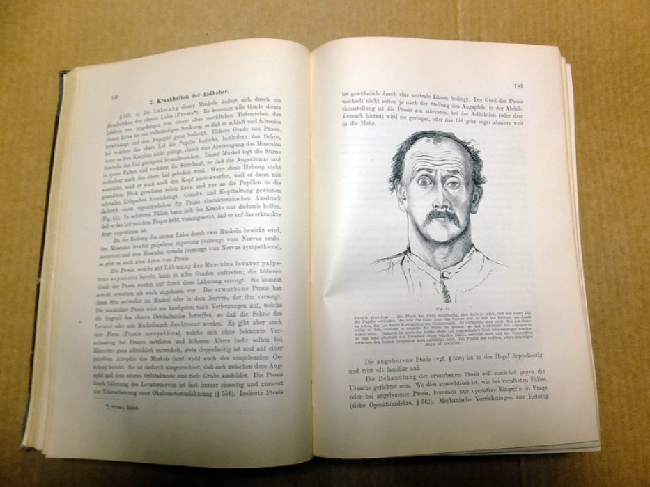 Fuchs E. Lehrbuch der augenheilkunde (Учебник офтальмологии).