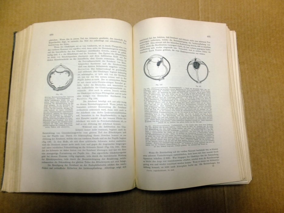 Fuchs E. Lehrbuch der augenheilkunde (Учебник офтальмологии).