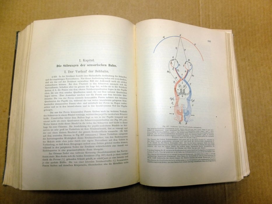 Fuchs E. Lehrbuch der augenheilkunde (Учебник офтальмологии).