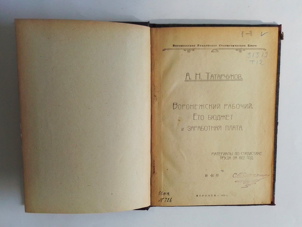 Татарчуков, А.Н. Воронежский рабочий, его бюджет и заработная плата.