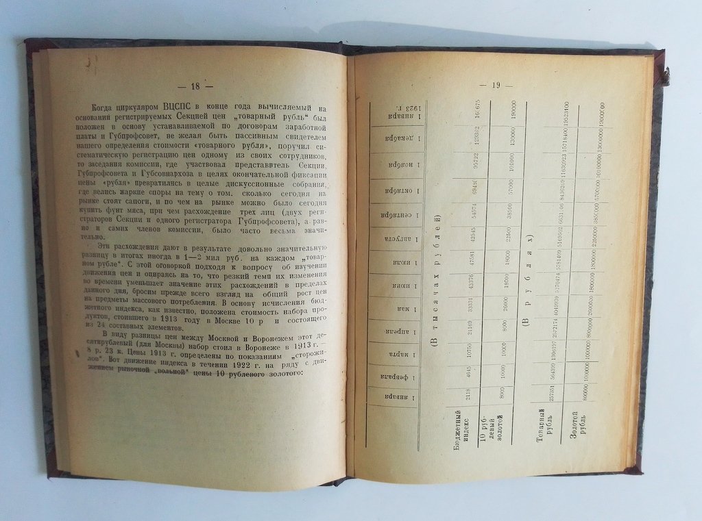 Татарчуков, А.Н. Воронежский рабочий, его бюджет и заработная плата.