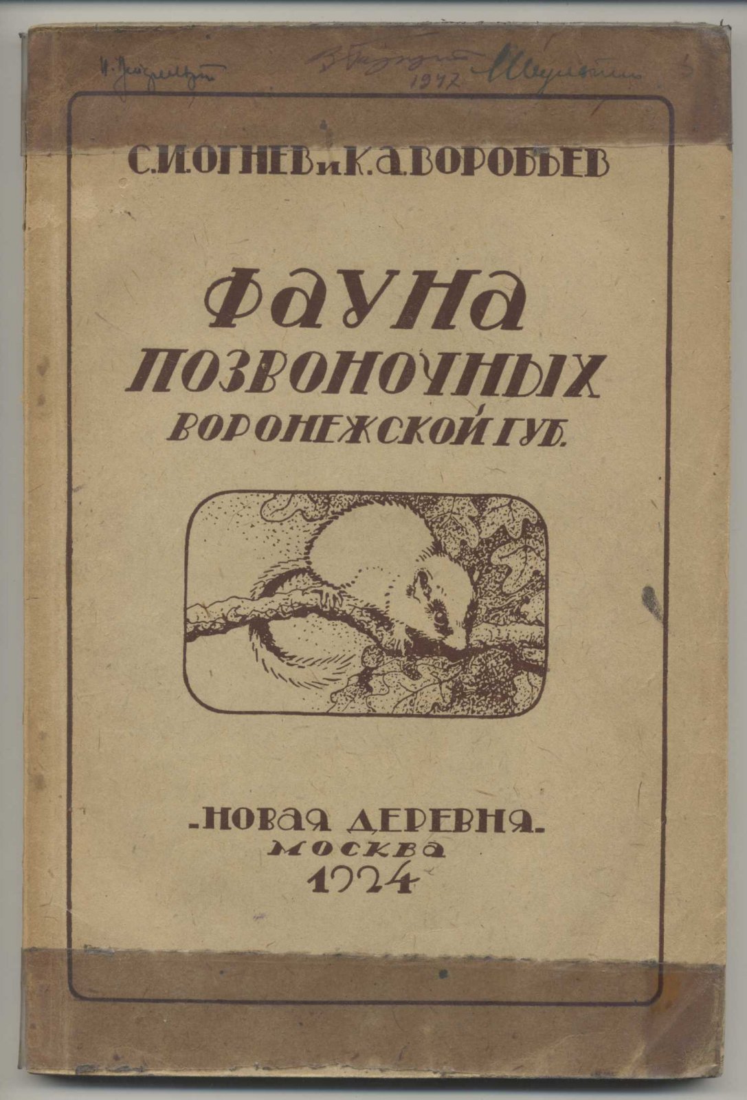 Огнев С.И., Воробьев К.А. Фауна наземных позвоночных Воронежской губернии.