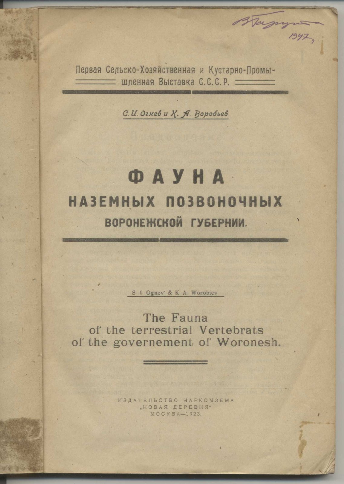 Огнев С.И., Воробьев К.А. Фауна наземных позвоночных Воронежской губернии.